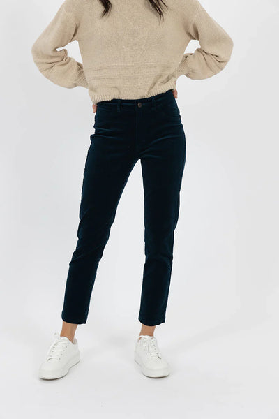 HUMIDITY - Navy fine velvet cord pant! 10